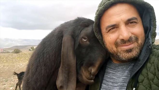 Teke ile sahibinin dostluğu şaşırtıyor