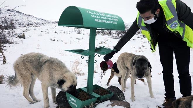 Talas’tan can dostlara şefkat eli
