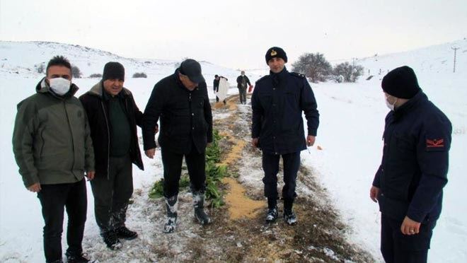 Yaban hayvanlarına destek