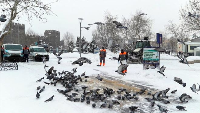 Melikgazi soğuk kış günlerinde sokak hayvanlarını unutmadı