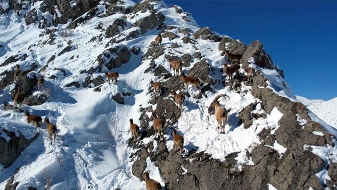 Aladağlar Milli Parkı