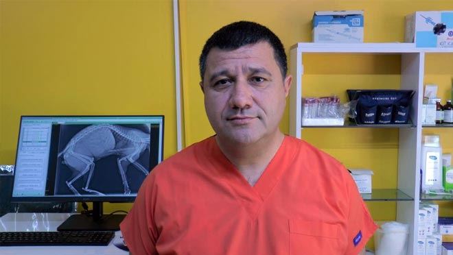 Yaz sineklerine erken tedbirle çözüm