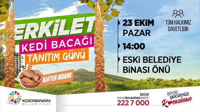 Erkilet Kedi Bacağı etkinliğine davet