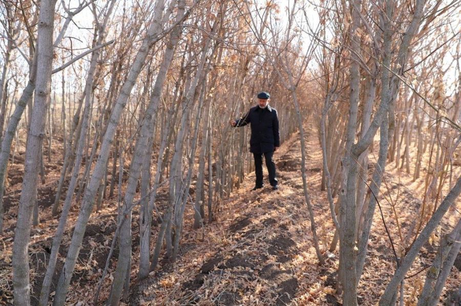 Kuru Yaprakları Gübreye Dönüştürüyor
