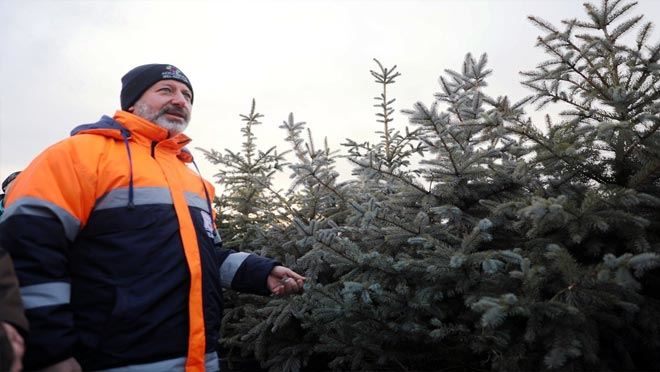   Kocasinan’da herkesin dikili bir ağacı olacak!