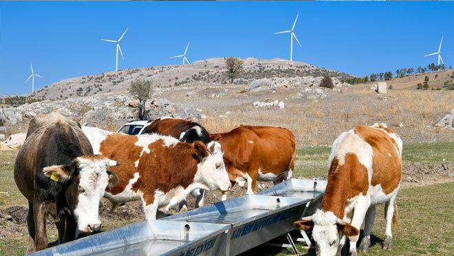 Büyükşehir Belediyesi’nden üreticiye destek