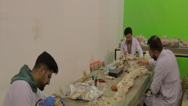  Fosiller ayaklandırılıyor