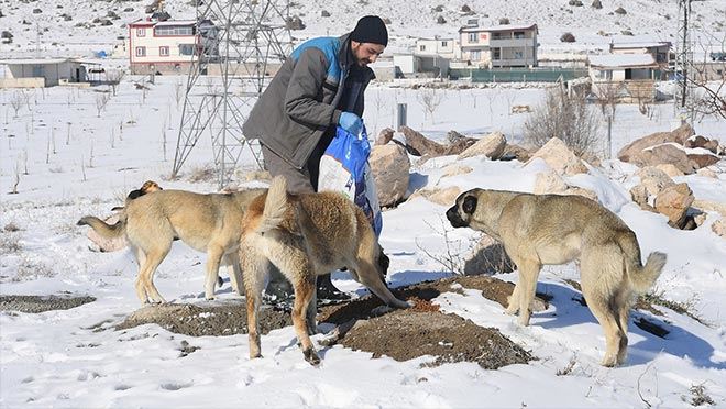 Büyükşehir Belediyesi’nden Dilsiz Dostlara Yem Desteği