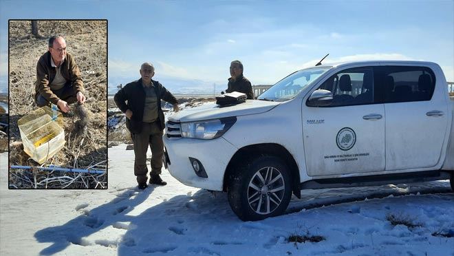 Kaçak Avcılara ceza yağdı