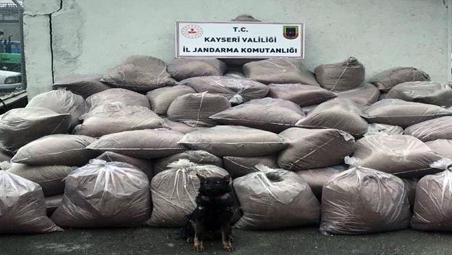 Kaçakçıya geçit yok!