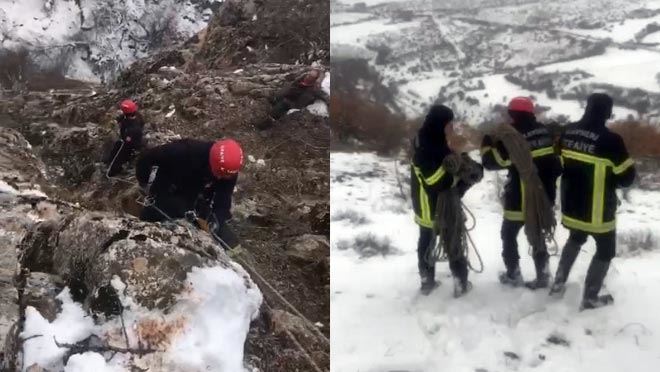 Uçuruma yuvarlanan keçi 6 saatte kurtarıldı