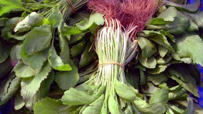 “Tere” deyip geçmeyin !