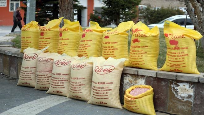 Melikgazi 18 ton Aspir tohumu dağıttı