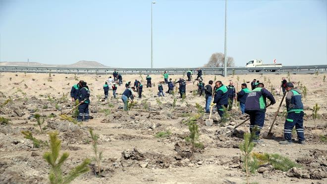 Baharla birlikte fidan dikimi başladı