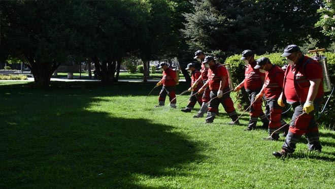 Huzurlu bir yaz için haşere ile mücadele