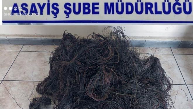 Kablo hırsızları yakalandı