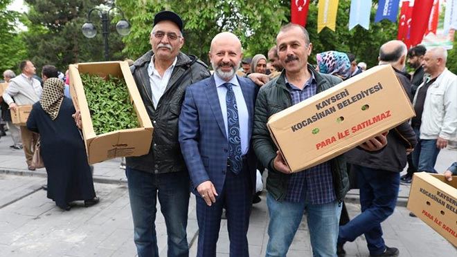 Kocasinan Belediyesi 9 Mayıs Pazartesi Domates Fidesi Dağıtacak
