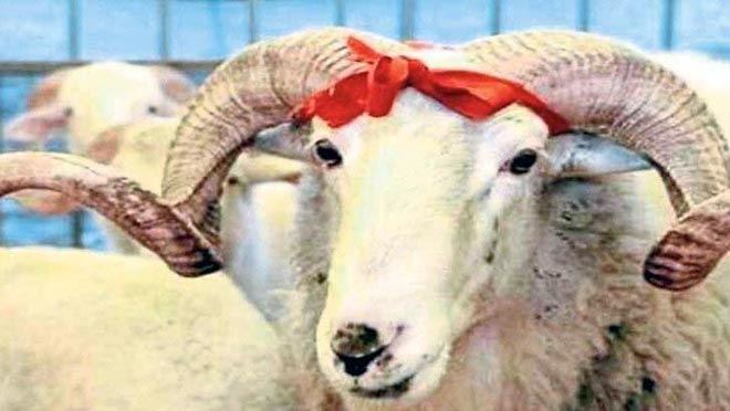 Vekalet ile kurban bedelleri açıkladı