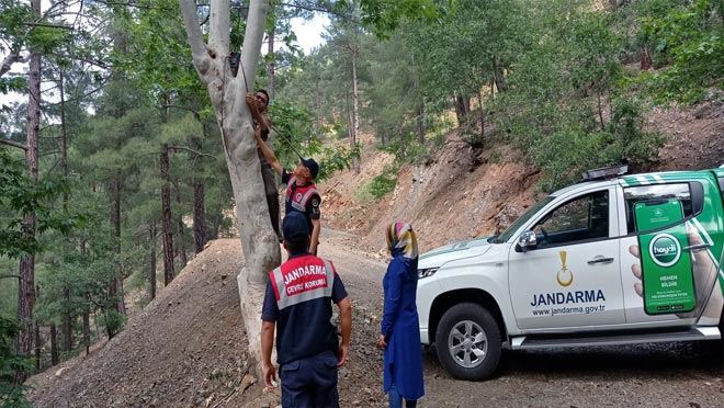 Aladağlar’da fotokapan sayısı artırıldı