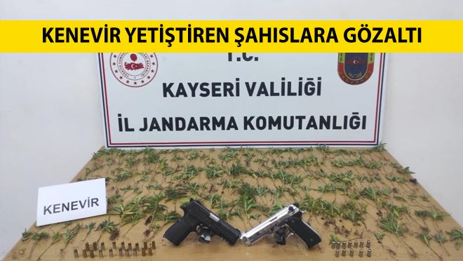 Kenevir yetiştiren şahıslara gözaltı