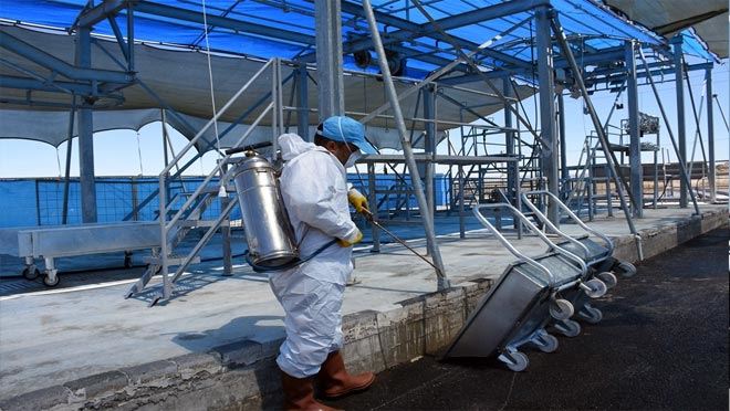 Kocasinan’da 12 ayrı noktada kurban hizmeti