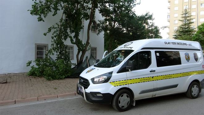 Dut toplamak için çıktığı ağaçtan düşen yaşlı adam yaşamını yitirdi