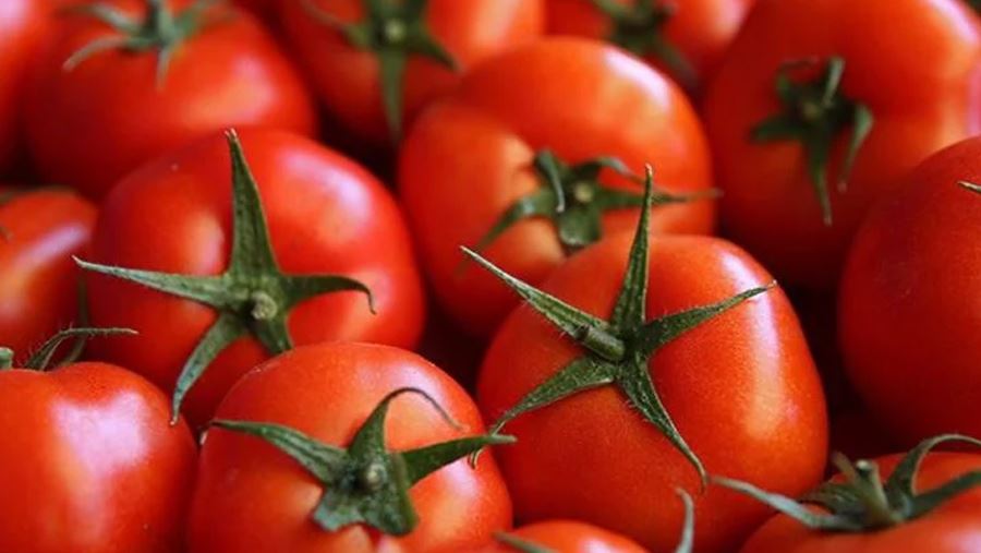 Domates ihracatı izne bağlandı