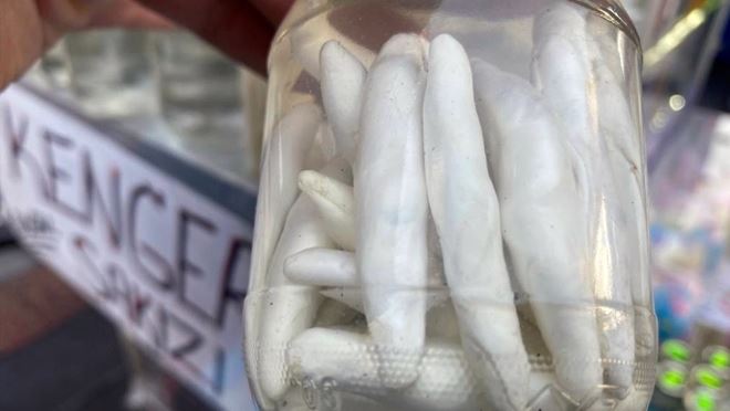 Kenger sakızının faydası saymakla bitmiyor