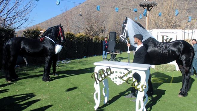 Bu düğün diğerlerinden çok farklı