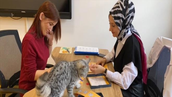   ‘Şeker’ kedi Engelsiz Yaşam Merkezi’nin gözdesi oldu