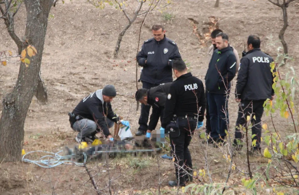 Ağaca asılı halde bulundu