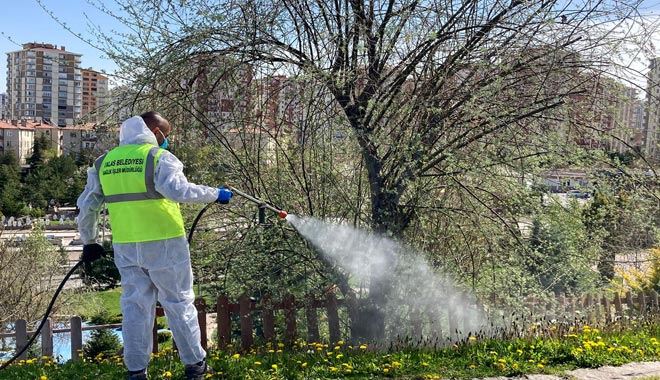 Talas’ta sinek ve haşerata erken önlem