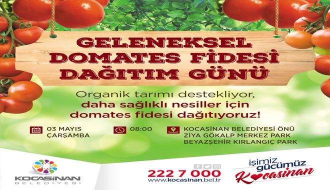    Kocasinan Belediyesi domates fidesi dağıtacak 