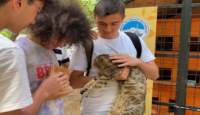  Melikgazi’den can dostlar için kedi evleri yaptı