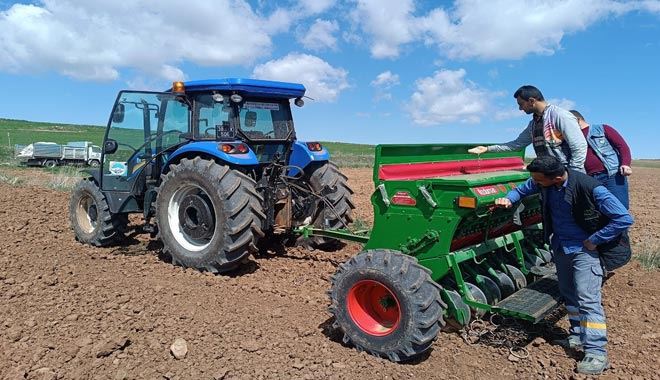 Bünyan’da aspir ekimine devam ediliyor