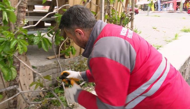   Çolakbayrakdar: “Bütün mahlûkata şefkat ve merhametle bakıyoruz”