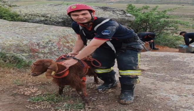 Kuyuya düşen keçi 2 saatte kurtarıldı