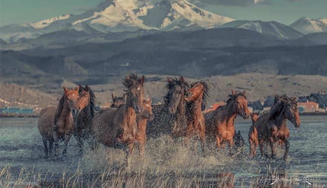   Hürmetçi Sazlığı için tanıtım atağı