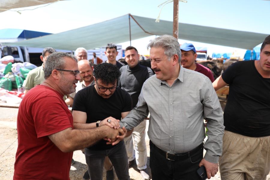 Başkan Palancıoğlu kurban pazarını inceledi, büyükbaş pazarlığı yaptı