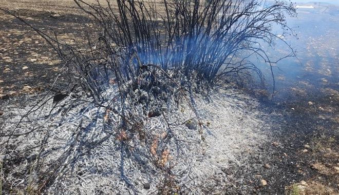 Kızılkan:“Cam ve plastik şişeler anız yangınına sebep oluyor”