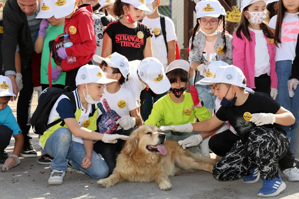 Can dostların huzurlu yuvası: Talas Pati Evi