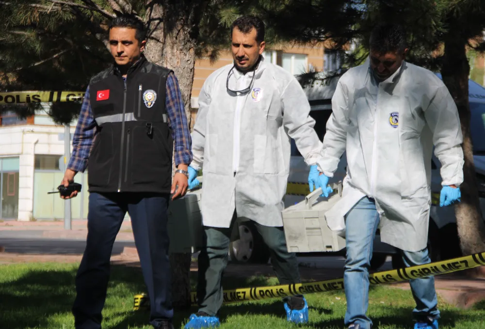 Delilden suçluya ulaşmanın sanatkarları