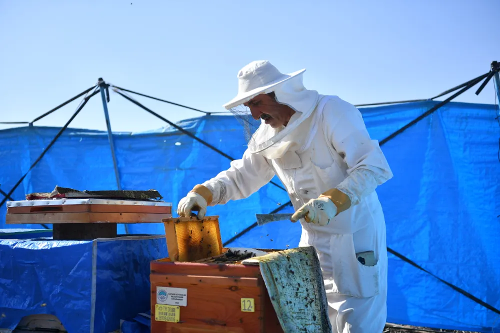 Büyükşehir Belediyesinden arıcılara 