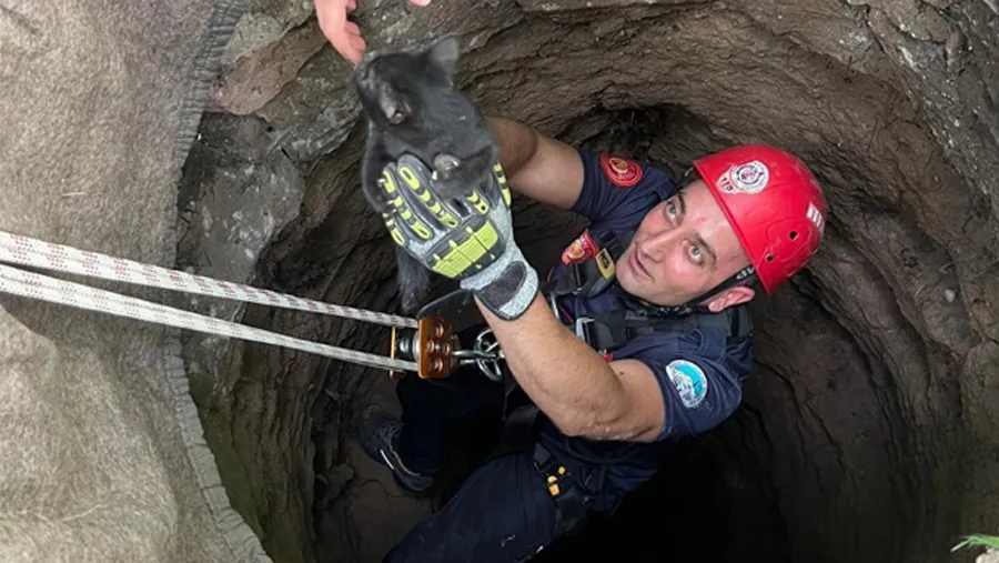 Kuyuya düşen yavru kedi kurtarıldı