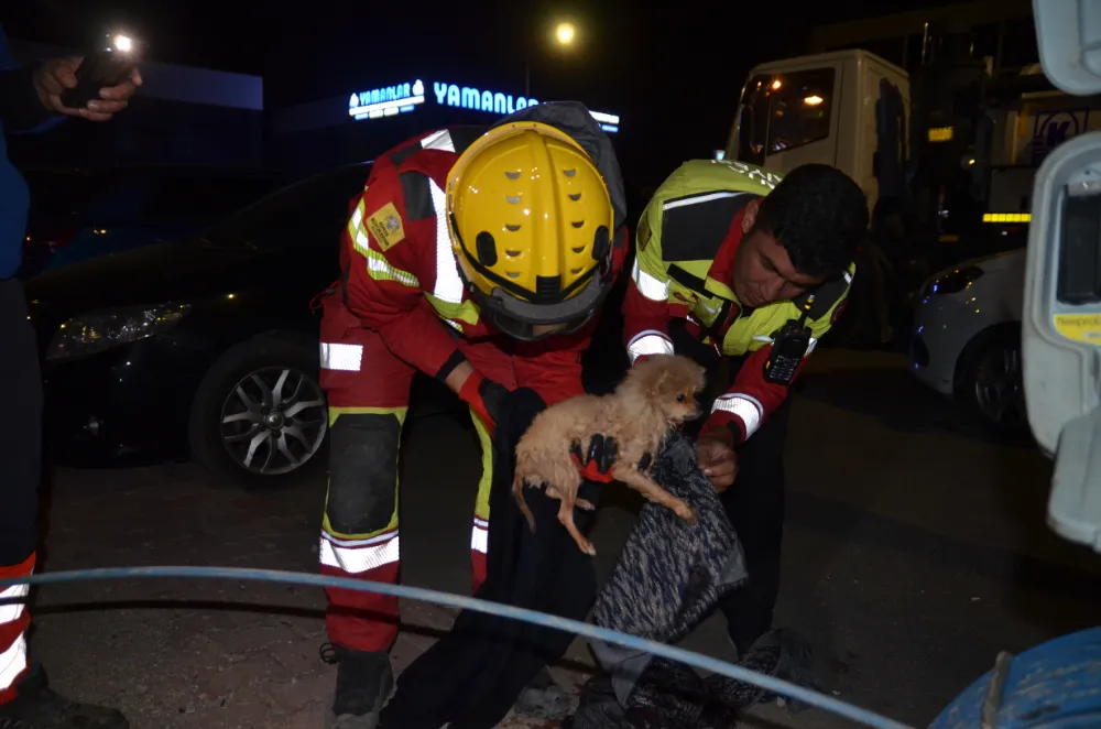 Kanalizasyon borusuna sıkışan köpek yavrusu kurtarıldı