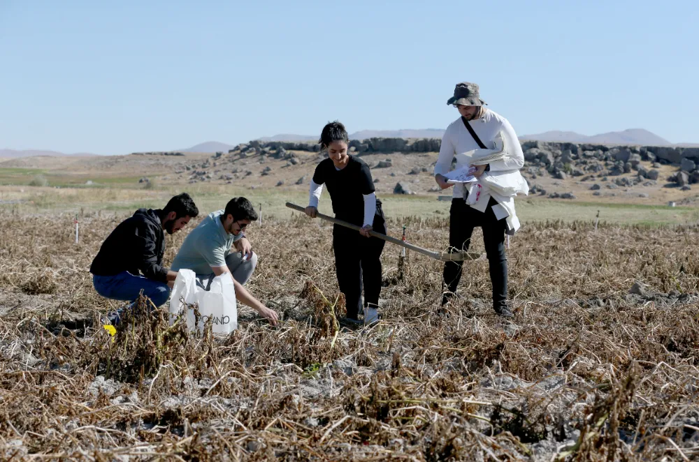 Yüksek lisans öğrencisi, tezini bir çiftçinin tahsis ettiği tarlada hazırlıyor