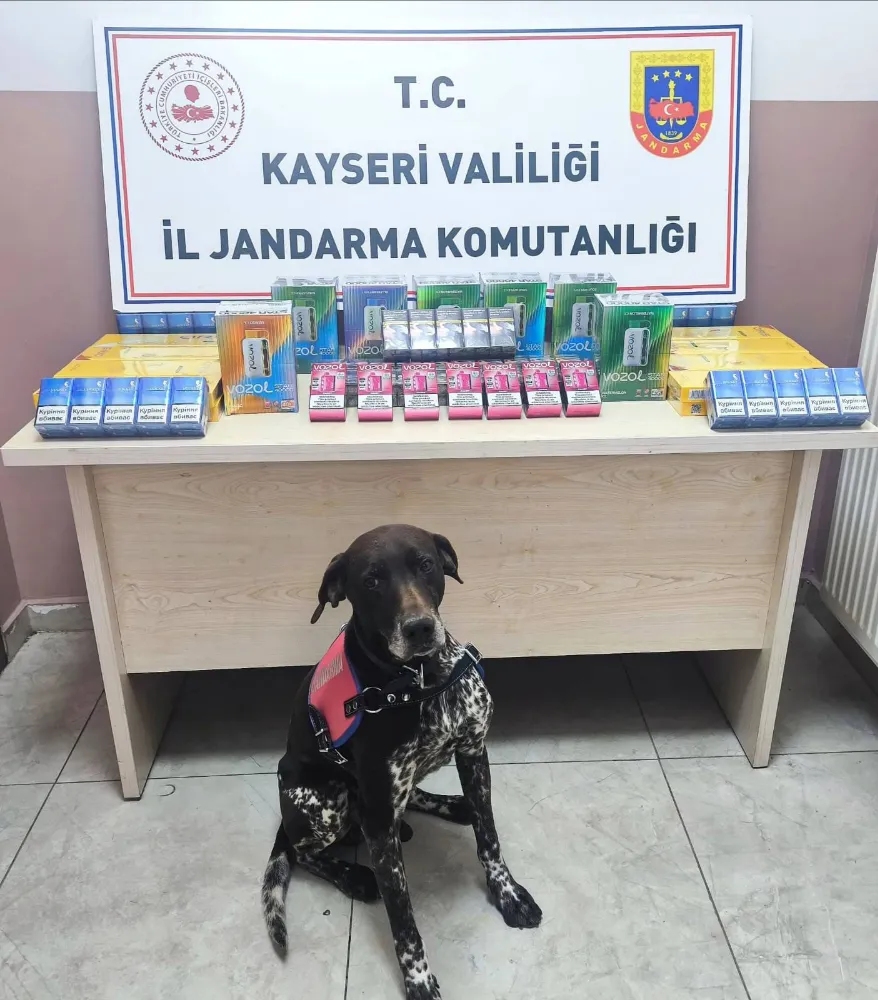 Kaçakçılık operasyonunda 2 şüpheli yakalandı