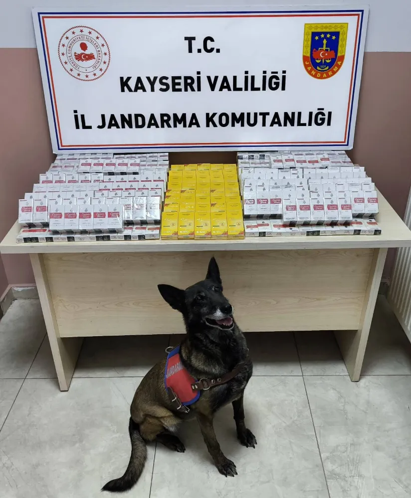 630 paket bandrolsüz kaçak sigara ele geçirildi