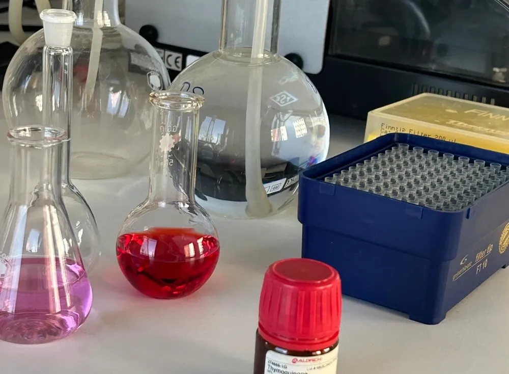 Bilimsel olarak kanıtlandı: Kanser hücrelerini öldürüyor!