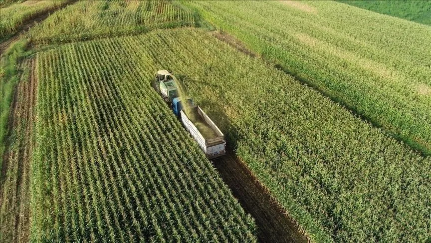 Çiftçilere 8,4 milyar liralık destek bugün hesaplarda!